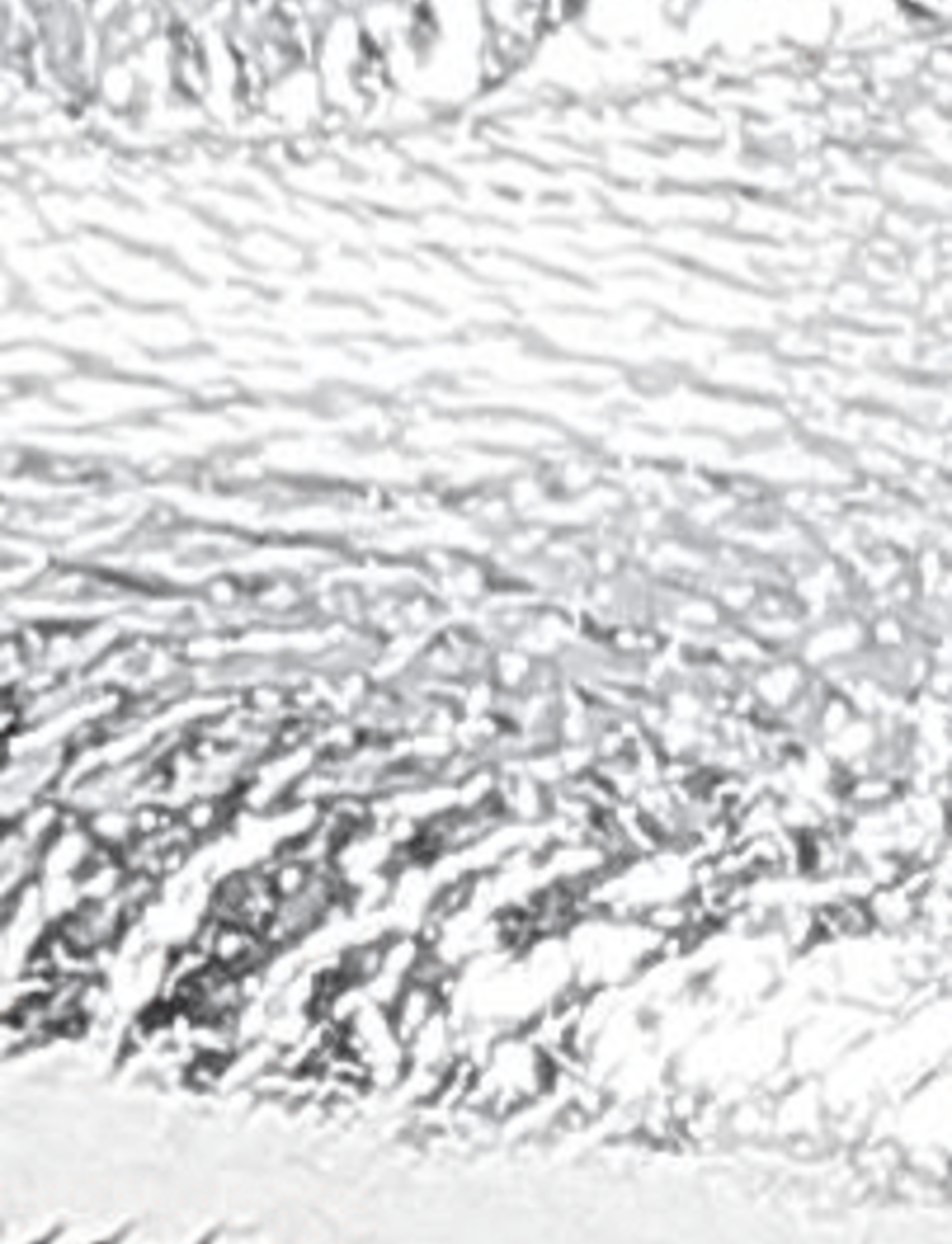 Emma Ballet - Silver - Swatch