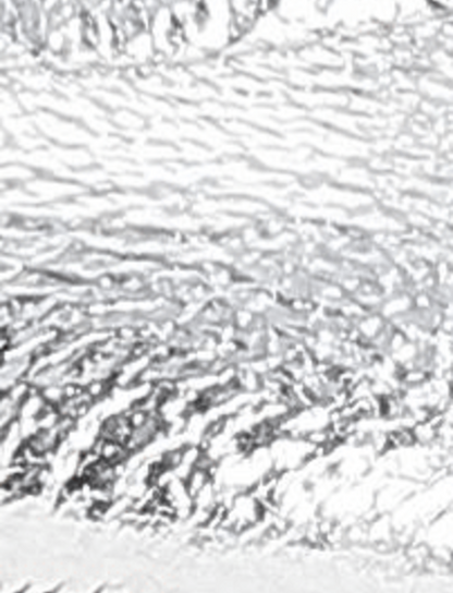 Emma Ballet - Silver - Swatch