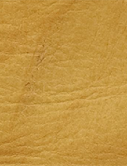 Kate Harness - Banana - Swatch