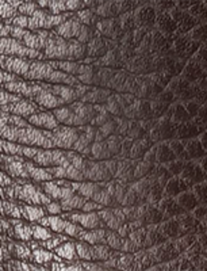 Kate Pull On - Dark Brown - Swatch