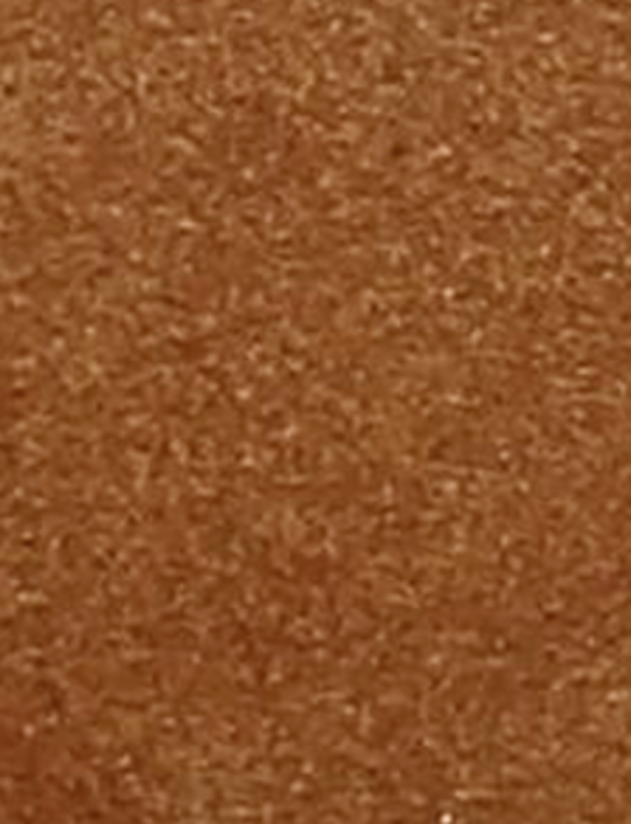 Kate Short Inside Zip - Toffee - Swatch