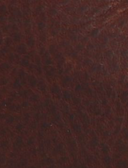 Mason Field Moc - Hickory - Swatch