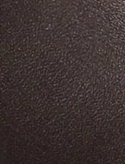 Melissa Shootie 2 - Dark Brown - Swatch