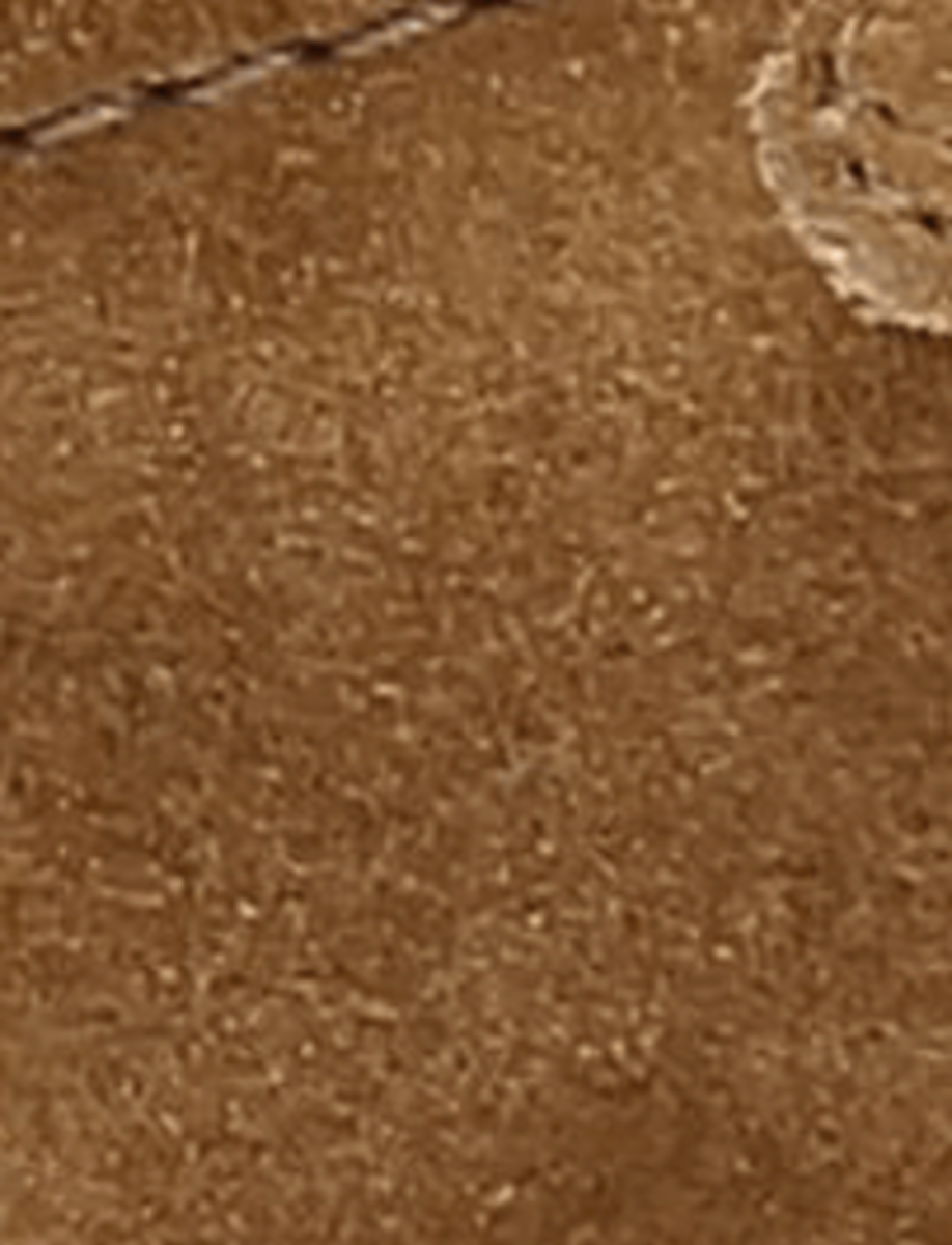Milly 3 Strap - Barley - Swatch