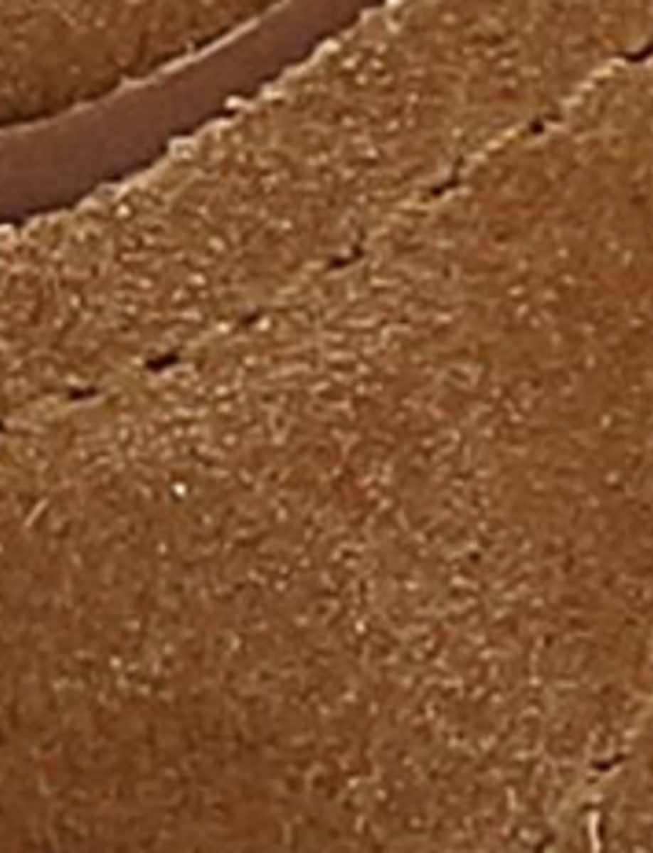 Milly Low Lace - Toffee - Swatch