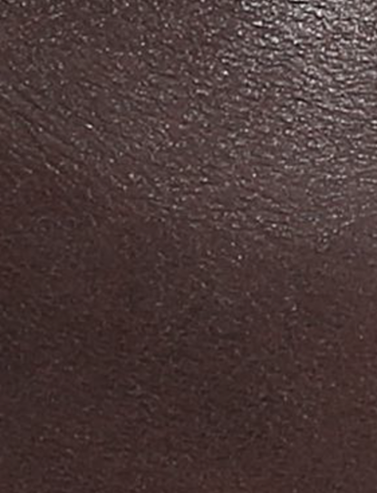 Olivia Harness Short - Chocolate - Swatch