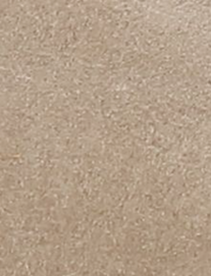 Paul Chukka - Mushroom - Swatch