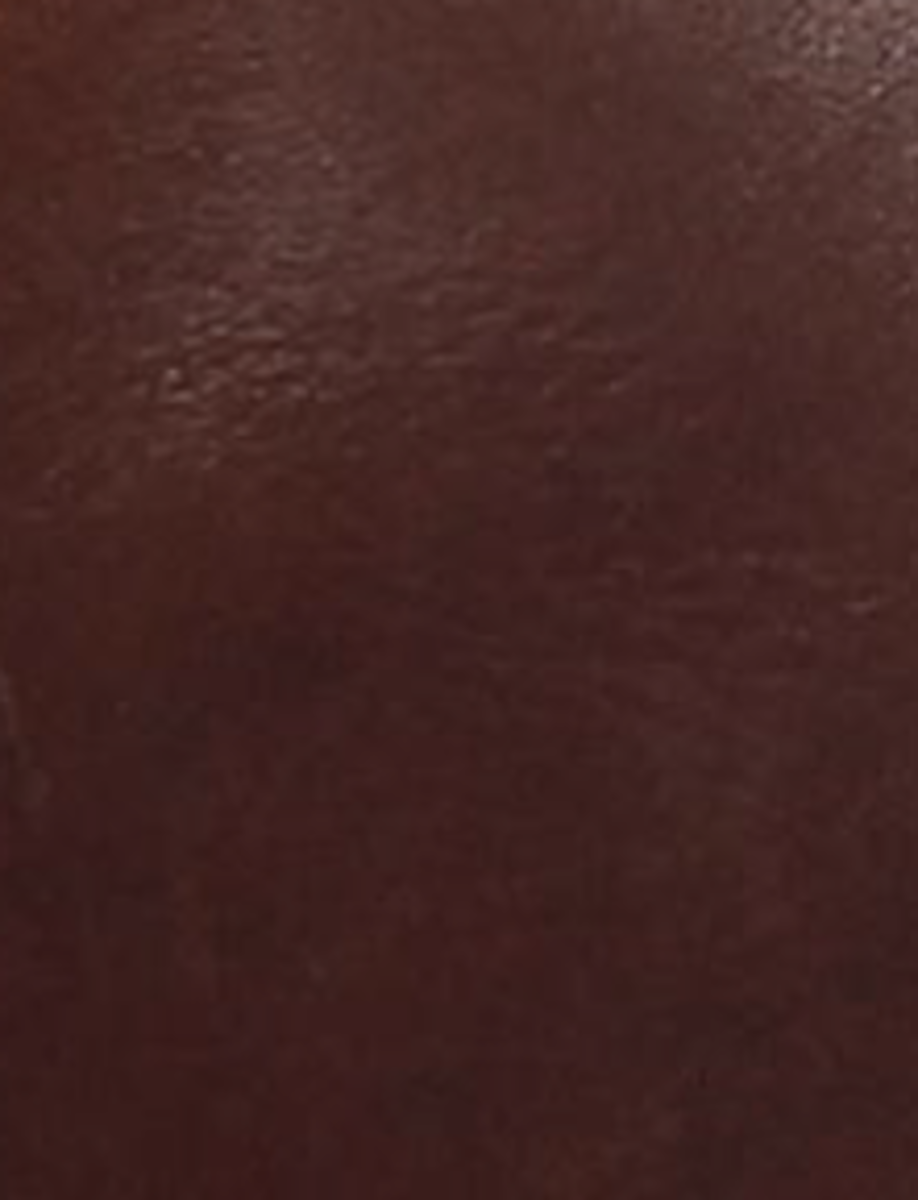 Paul Venetian - Brown - Swatch