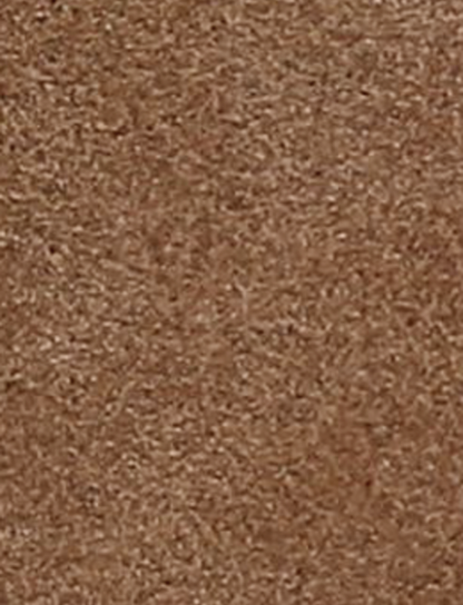 Rylee Belted Inside Zip - Mushroom - Swatch