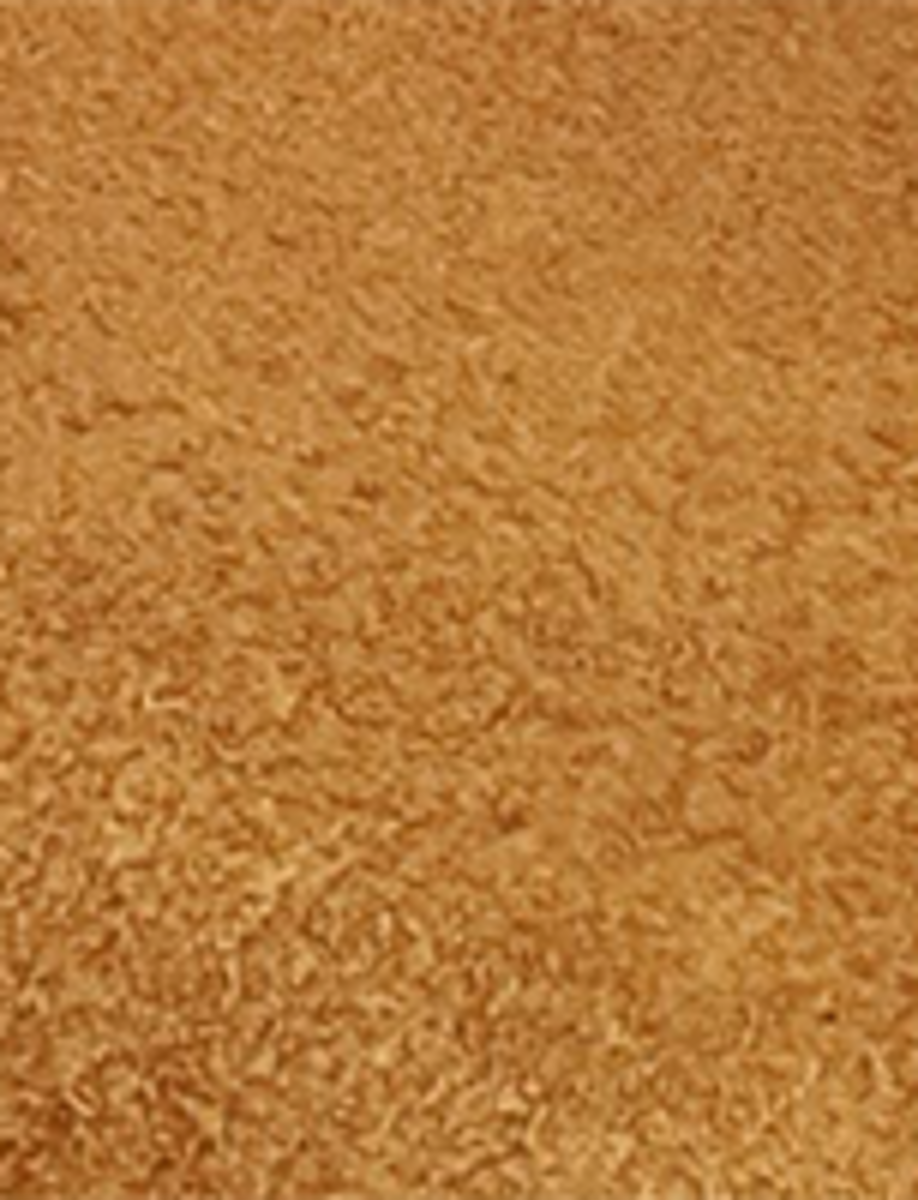 Sacha At The Knee - Barley - Swatch