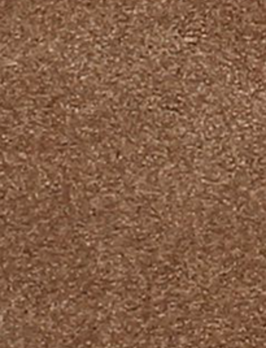Sara Wingtip Stud - Almond - Swatch