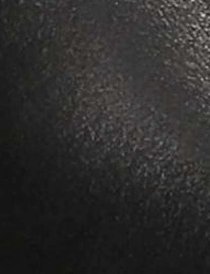 Sara Wingtip Stud - Black - Swatch