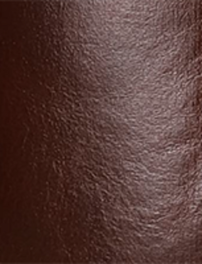 Viv Riding Boot - Redwood - Swatch